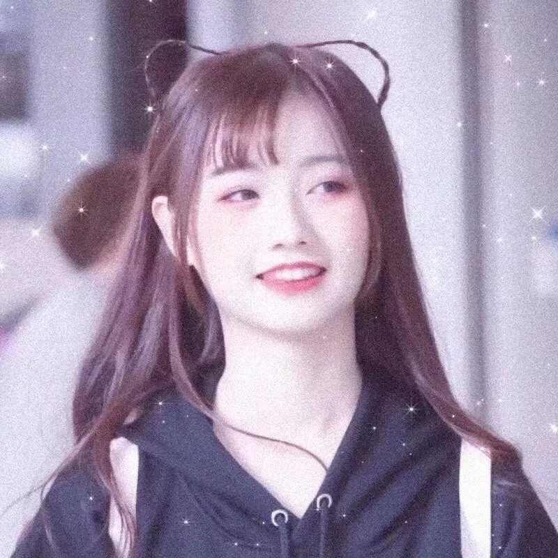 会长的贴身校花封面